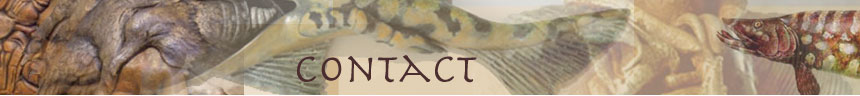 contact image