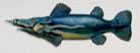 Bill Abright Ceramic fish-Squid