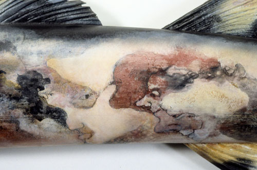 Detail of Wahoo